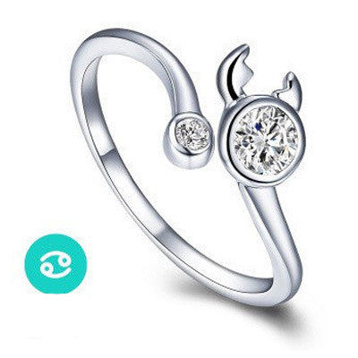 Aries Taurus Gemini Cancer Virgo Libra Scorpius Sagittarius Capricorn CZ  Adjustable Rings