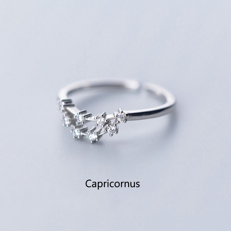 12 Constellation Zodiac Sign Ring