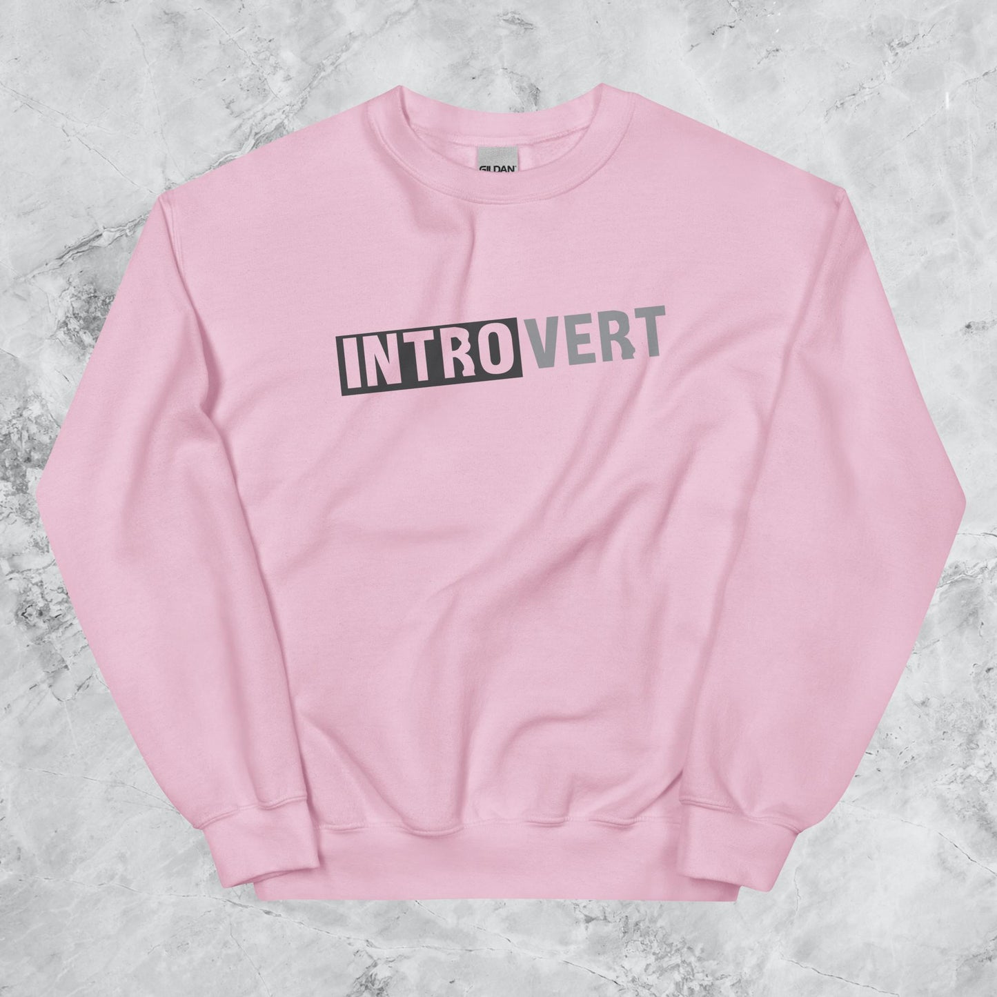 Introvert Sweatshirt