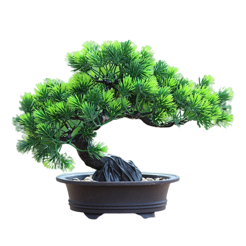 Chinese Zen Simulation Bonsai Tree