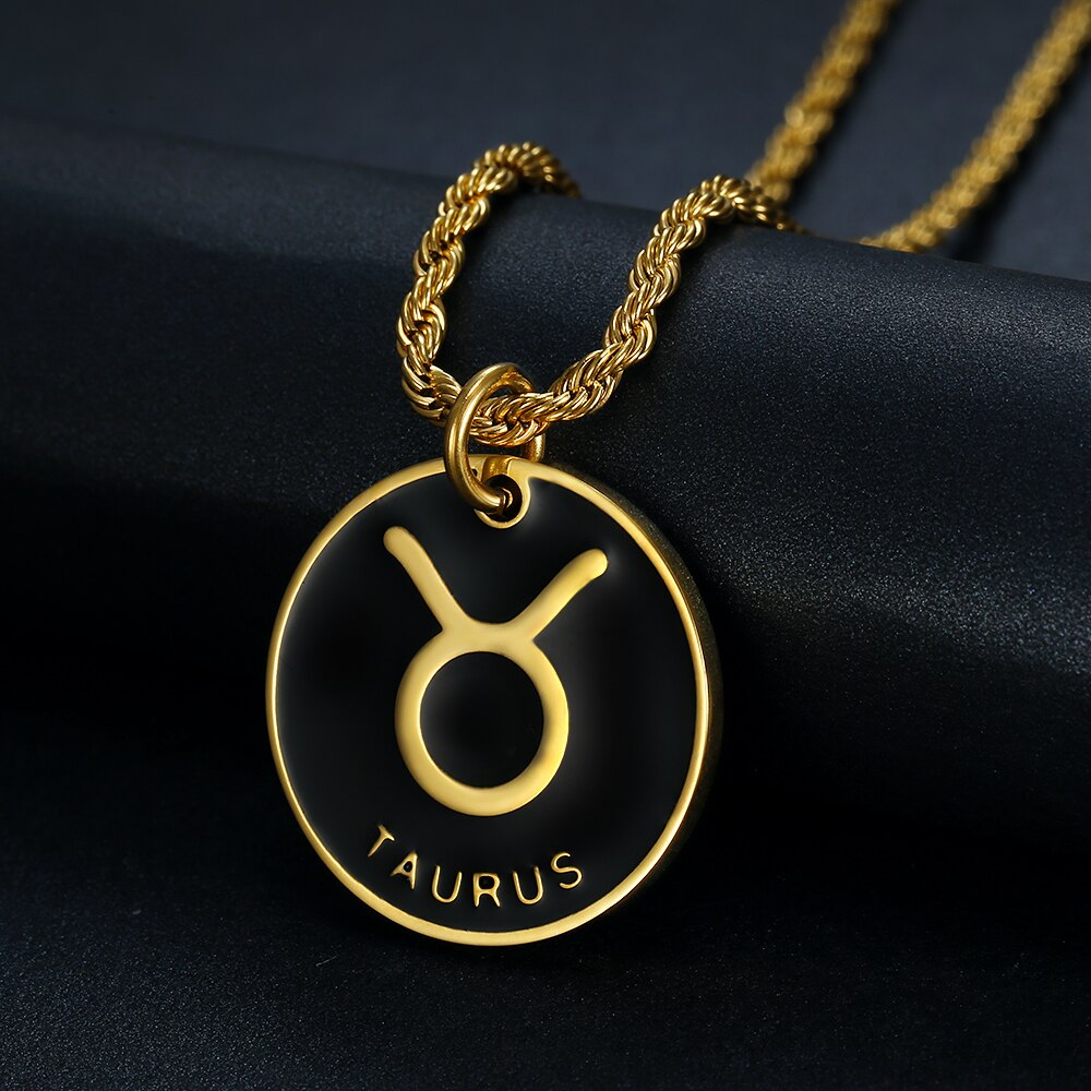 Zodiac Sign Pendant Stainless Steel Necklace