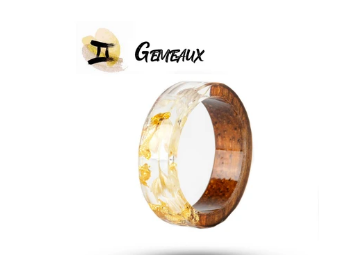 Gemini Ring